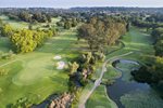 GolfartDJI_0121